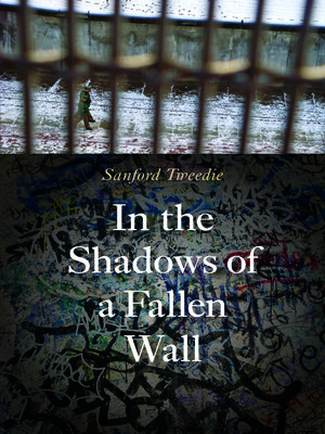 cover image of In the Shadows of a Fallen Wall